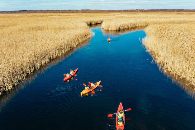 Free photo group of people in kayaks among reeds on the autumn river.