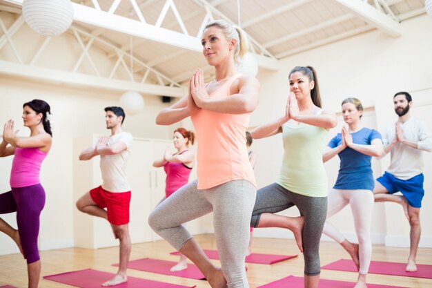 Treepose 요가 운동을 수행하는 사람들의 그룹