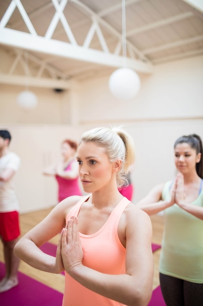 Free photo group of people performing tree-pose yoga exercise