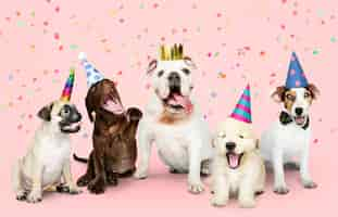 Free photo group of puppies celebrating a new year