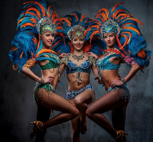 Group of a sexy girls in a colorful sumptuous carnival feather suit, posing on a dark background.
