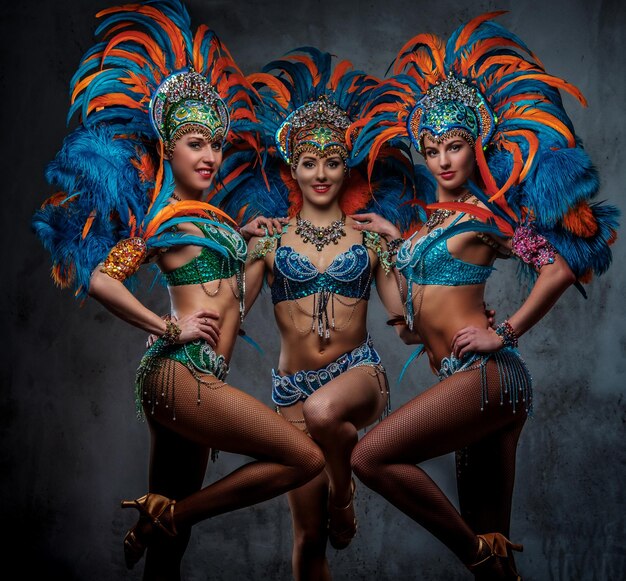 Group of a sexy girls in a colorful sumptuous carnival feather suit, posing on a dark background.