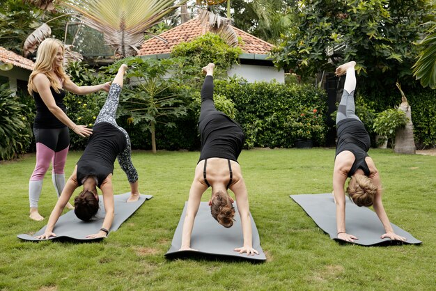 Group of women doing yoga outdoors performing dolphin pose