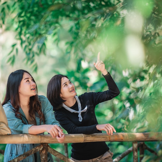 竹の橋の上に立っている若いアジアの女性のグループは、一緒に幸せで森でキャンプしながら美しい自然を探しています