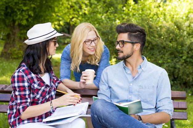 公園のベンチで宿題を話し合って楽しんでいる若い大学生のグループ