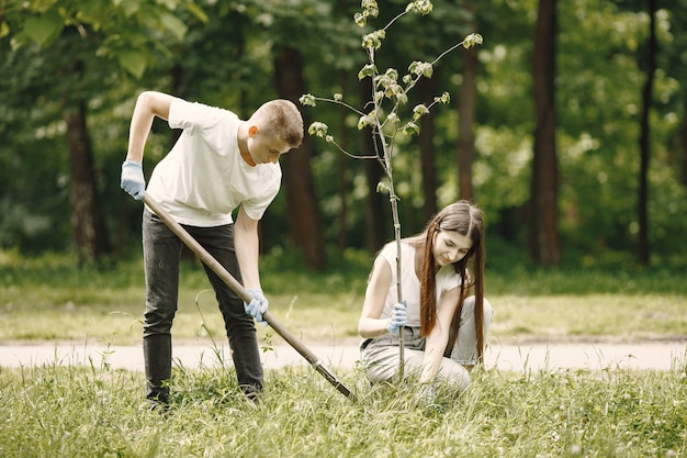 공원에서 젊은 자원 봉사자의 그룹입니다. 그들은 나무 묘목을 심고 있습니다.