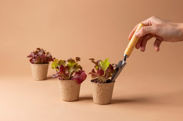 Growing life concept with flowers