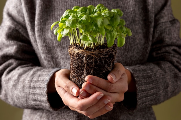 Foto gratuita crescere il concetto di vita con i fiori