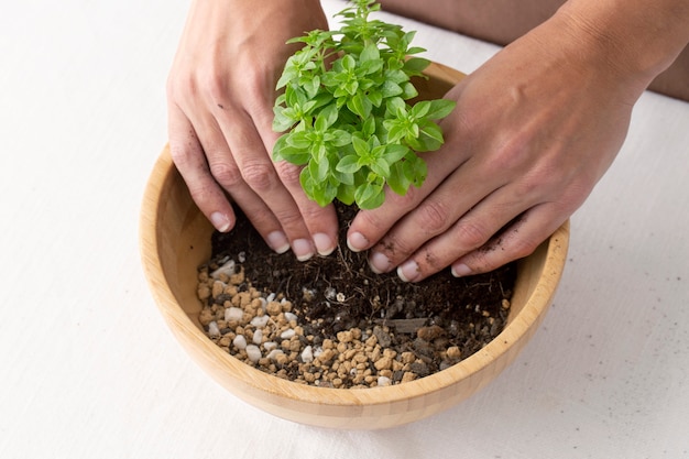 Growing life concept with flowers