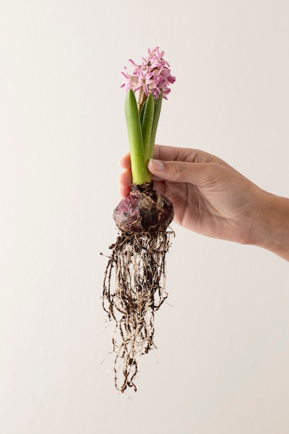 花で成長する人生のコンセプト