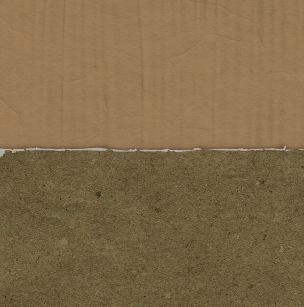 Grunge background with torn paper texture on cardboard