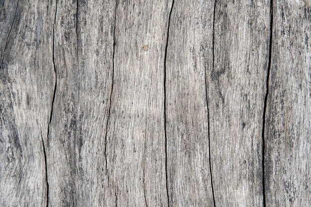 Grunge dark wooden planks textured