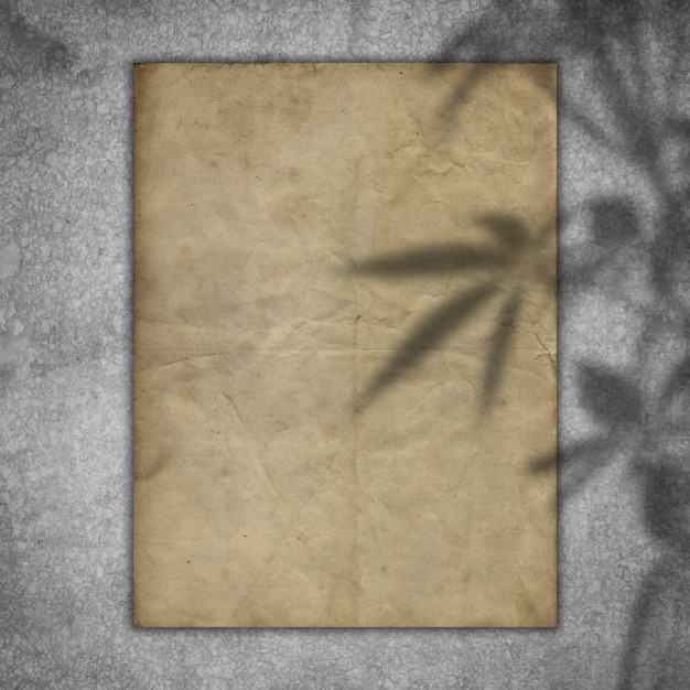 Grunge paper on a concrete texture with a plant shadow overlay
