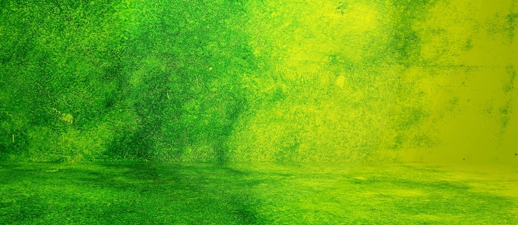 Free Photo grunge textures and backgrounds perfect background with space