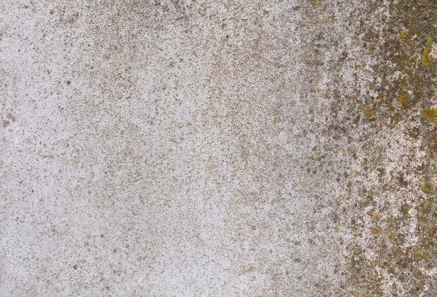 Free photo grunge wall texture