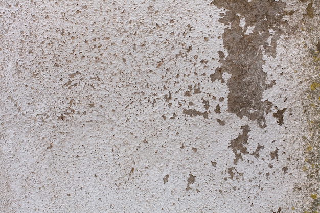 Free photo grunge wall texture