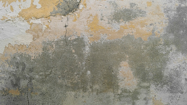 Free photo grunge wall texture