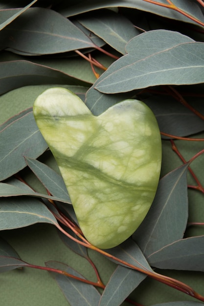 Gua sha and leaves arrangement top view