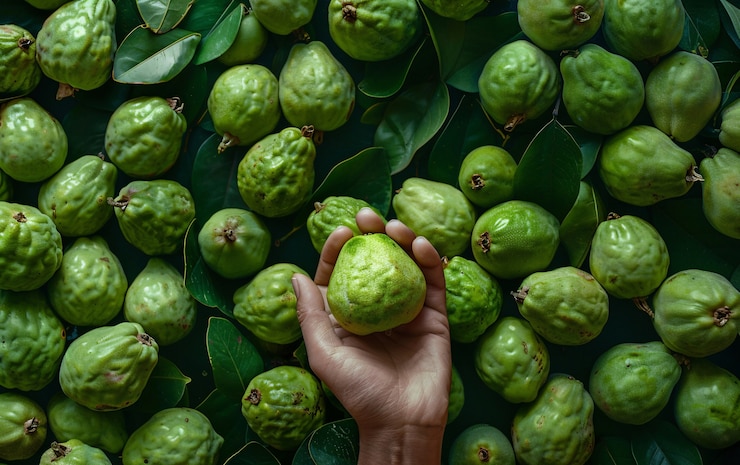 Free Photo guava fruit still life