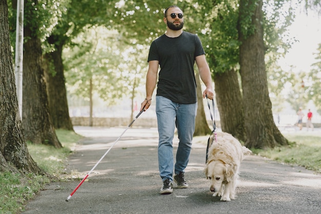 盲導犬が市内の盲人を助ける。ハンサムな盲目の男は、街でゴールデン・リトリーバーと残りを持っています。