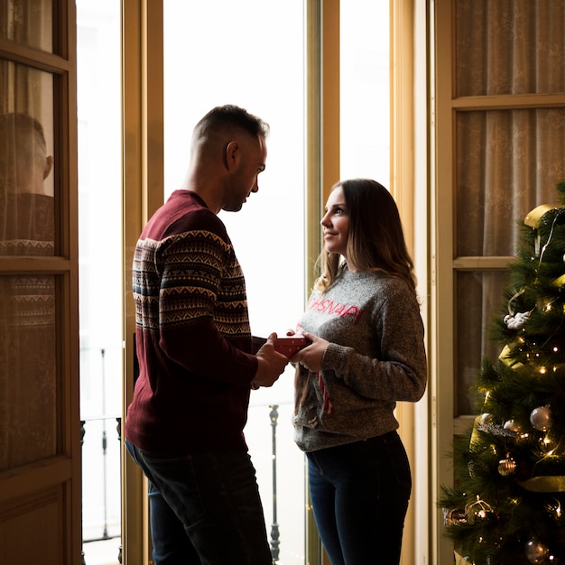 Free photo guy with gift box looking at lady near window and christmas tree