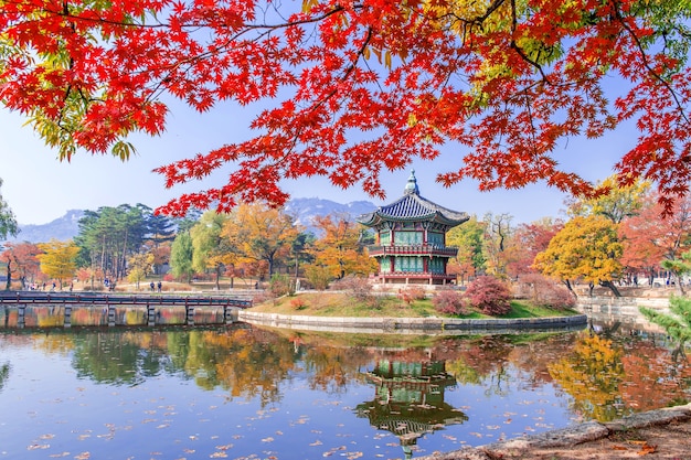 한국의 가을 경북궁과 단풍 나무.