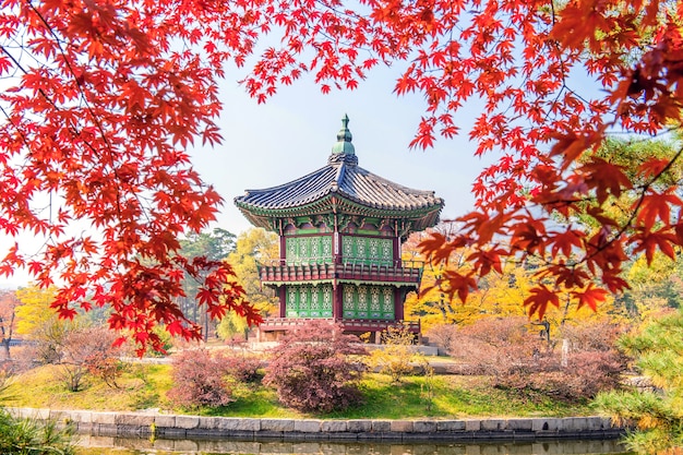 Foto gratuita gyeongbukgung e acero in autunno in corea.