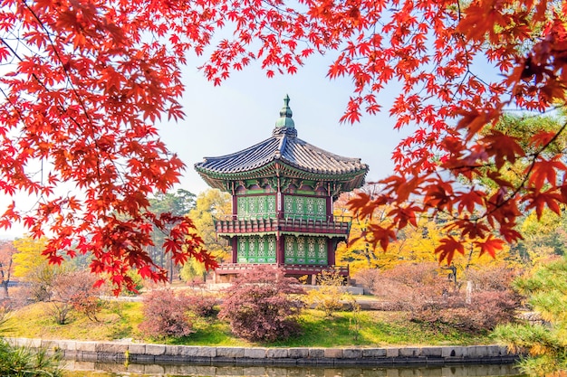 한국의 가을 경북궁과 단풍 나무.