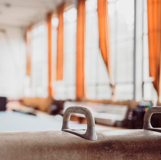 Gymnastics pommel horse close-up