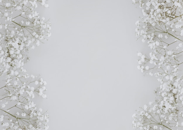 Foto gratuita gypsophila su sfondo grigio con copia spazio al centro