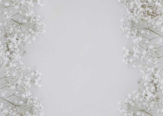 Gypsophila on gray background with copy space in the center