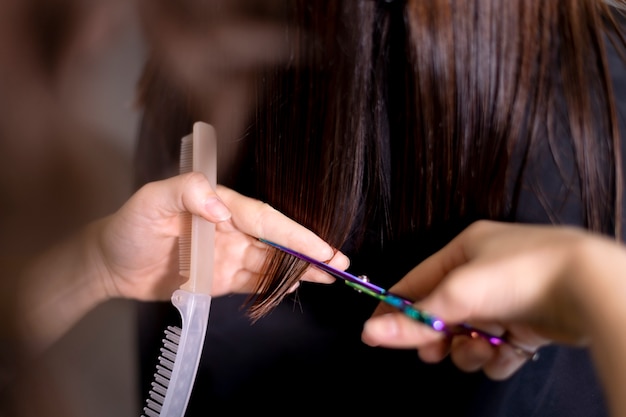 Hairdresser taking care of her client