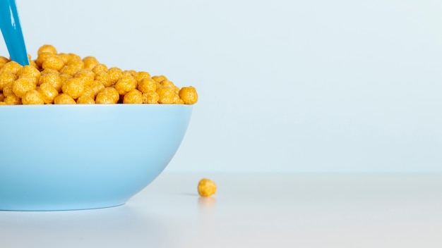 Half of bowl with cereals and copy space background