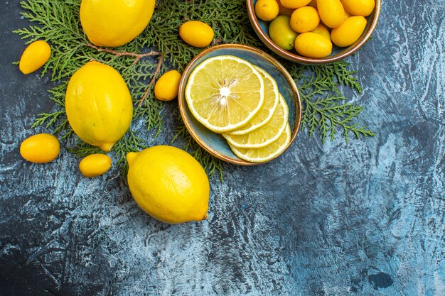 Half shot of collection of cut and whole natural organic fresh citrus fruits on fir branches on dark background