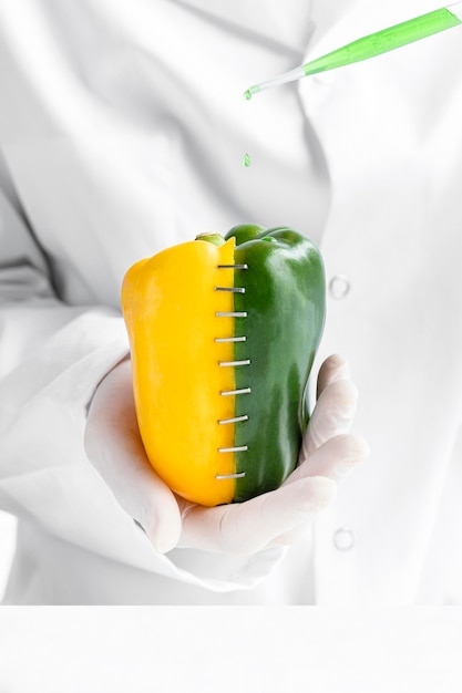 Half yellow and half green sweet pepper