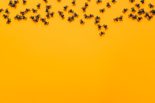 Halloween background with insects and space
