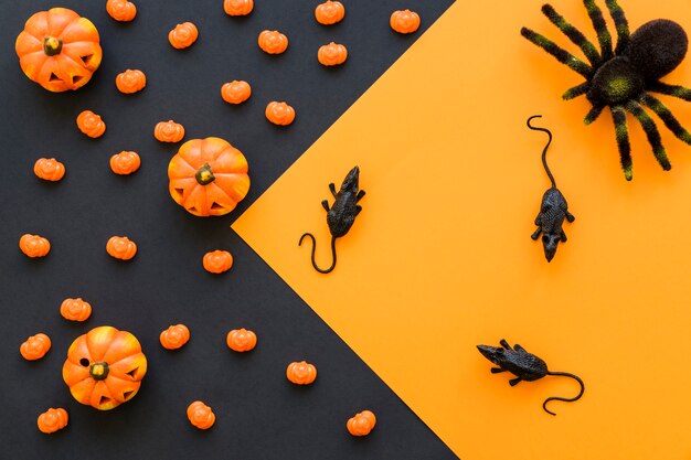 Halloween background with rats and spider