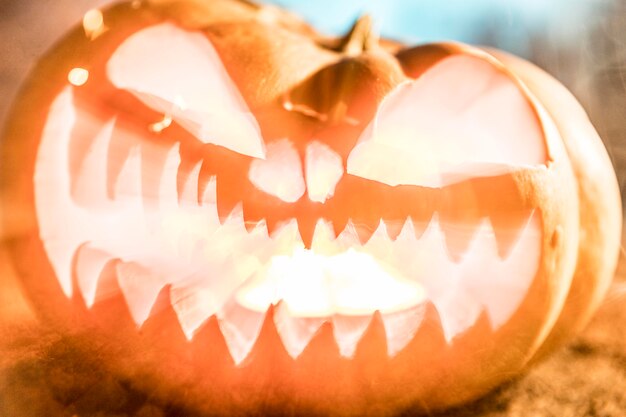 Halloween celebration with carved pumpkin