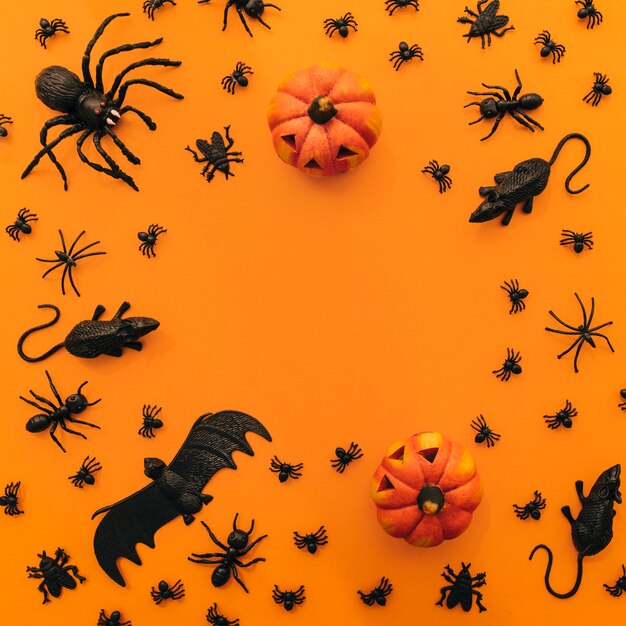 Halloween composition with circular space in middle
