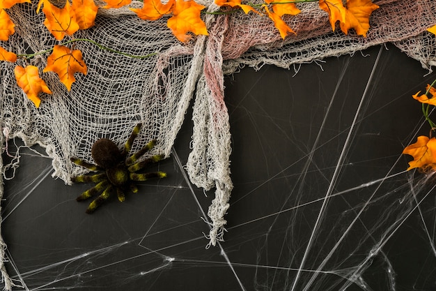 Free photo halloween composition with net