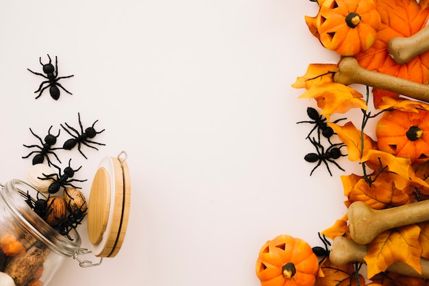 Concetto di halloween con le formiche