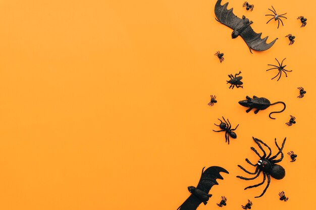 Halloween concept with insects and space on left