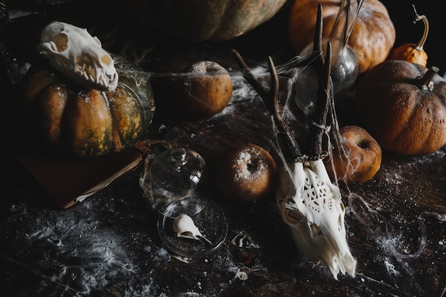 Free photo halloween decor. old pumpkins, pomegranates, apples