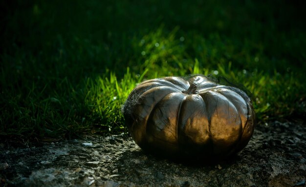 Halloween decoration and scary concept. halloween background. pumpkin head jack lantern. trick or treat. jack-o-lanterns. Premium Photo