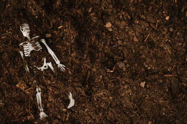 埋め込まれた骨格とハロウィンの装飾