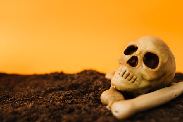 Halloween decoration with skull on dirt