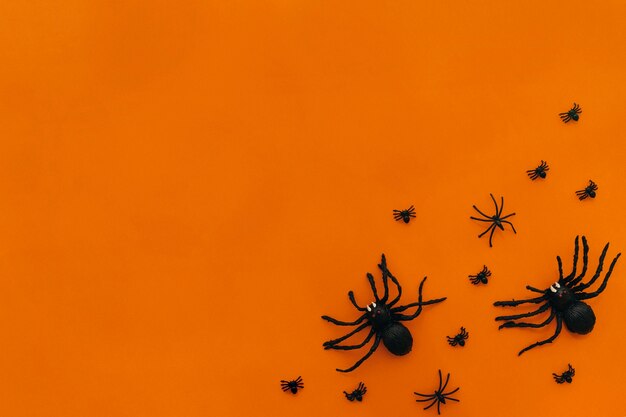 Halloween decoration with spiders
