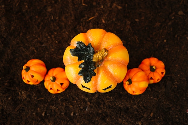 Foto gratuita decorazione di halloween con vista superiore delle zucche