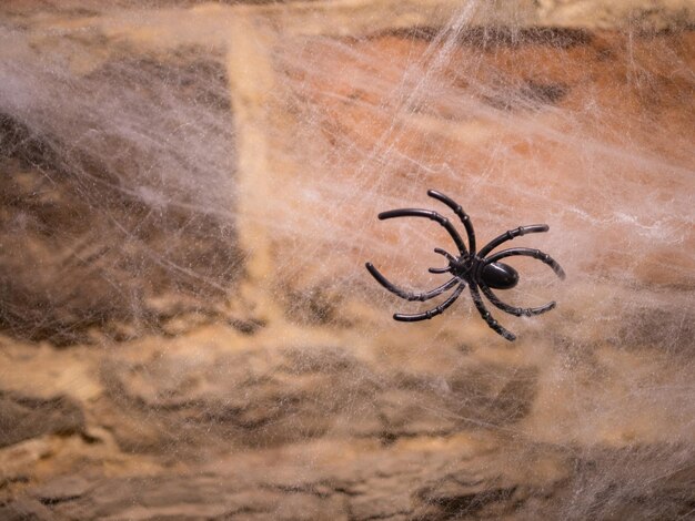 ハロウィーンの装飾、レンガの壁、厚い蜘蛛の巣、偽の蜘蛛。