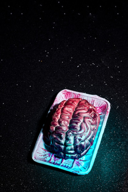 무료 사진 할로윈 가짜 무서운 뇌
